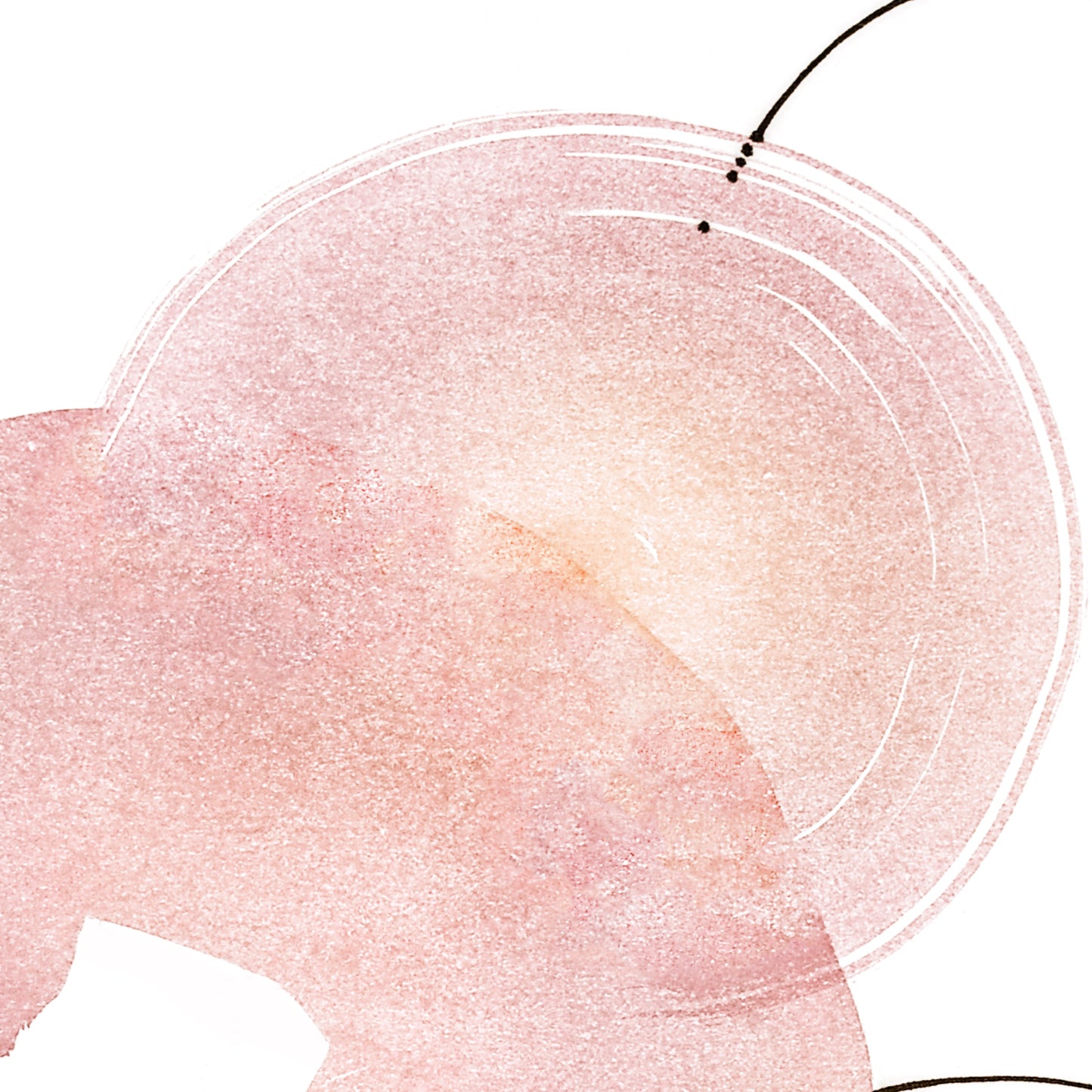 Materia en flor · Enmarcada